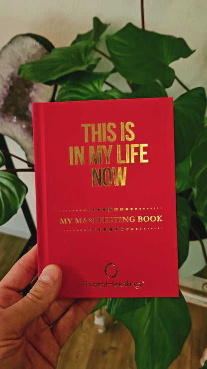 My Manifesting Book